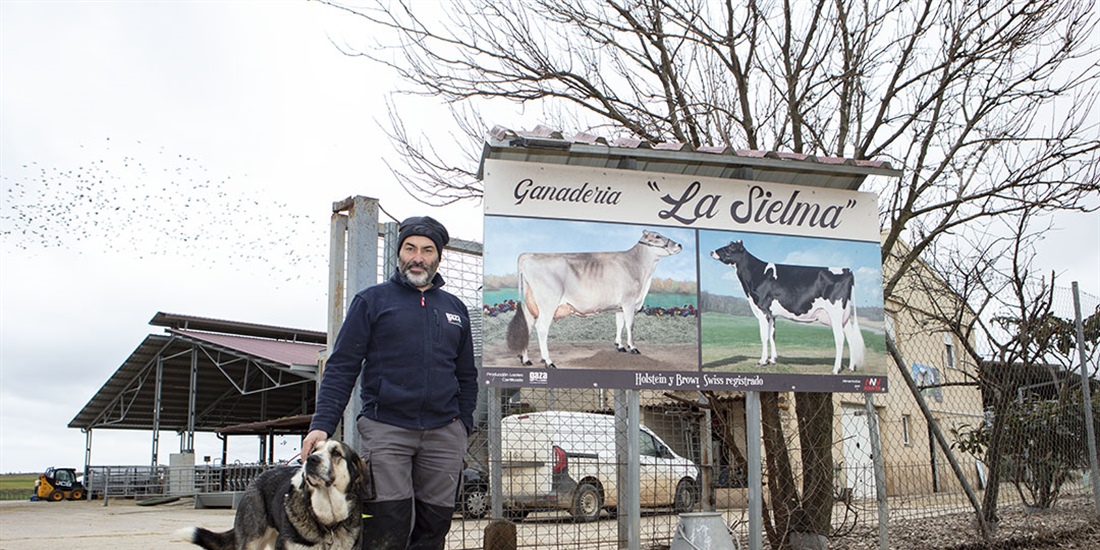 Ganader�a La Sielma: la alianza entre Frisona y Parda como estrategia...