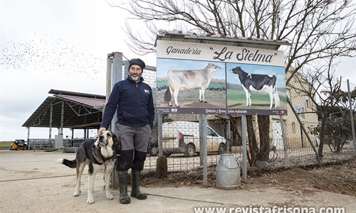 Ganader�a La Sielma: la alianza entre Frisona y Parda como estrategia...