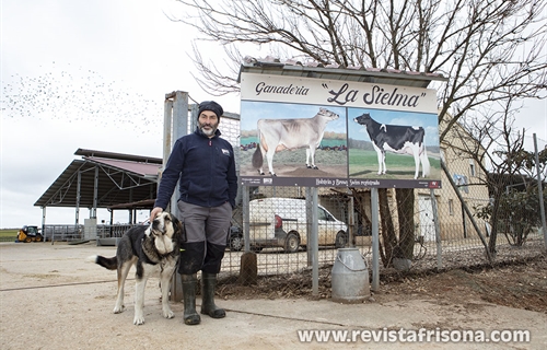 Ganader�a La Sielma: la alianza entre Frisona y Parda como estrategia...