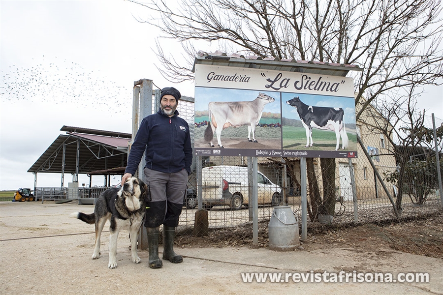Ganader�a La Sielma: la alianza entre Frisona y Parda como estrategia...