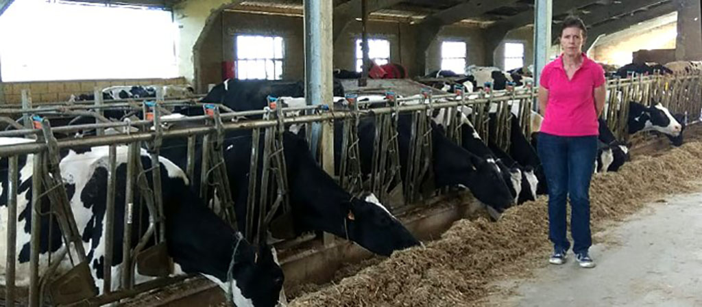 COAG cree que la industria l�ctea pretende bajar el precio de la leche...