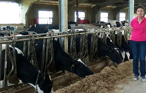 COAG cree que la industria l�ctea pretende bajar el precio de la leche...