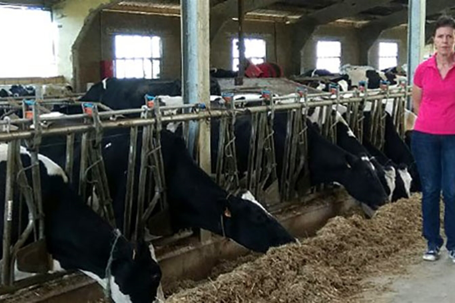 COAG cree que la industria l�ctea pretende bajar el precio de la leche...