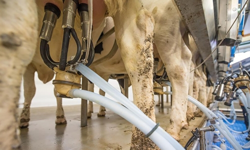 Uni�n de Uniones rechaza una bajada del precio de la leche en 2026 por...