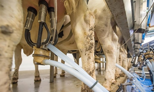 Uni�n de Uniones rechaza una bajada del precio de la leche en 2026 por...