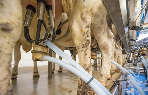 Uni�n de Uniones rechaza una bajada del precio de la leche en 2026 por...