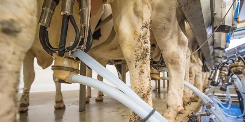 Uni�n de Uniones rechaza una bajada del precio de la leche en 2026 por ser �inasumible�