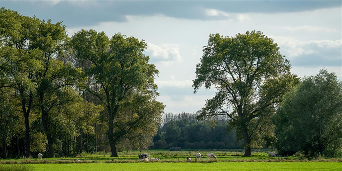 El cooperativismo l�cteo espa�ol coge la bandera de la sostenibilidad y...