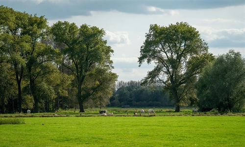 El cooperativismo l�cteo espa�ol coge la bandera de la sostenibilidad y...