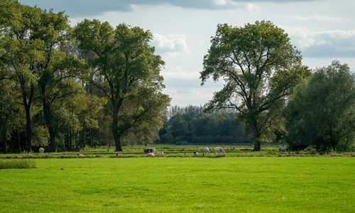 El cooperativismo l�cteo espa�ol coge la bandera de la sostenibilidad y...
