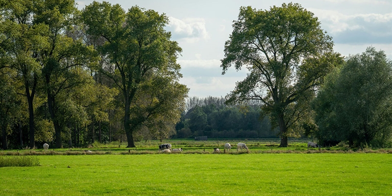 El cooperativismo l�cteo espa�ol coge la bandera de la sostenibilidad y lidera la bajada de emisiones de gases de efecto invernadero hasta 2030