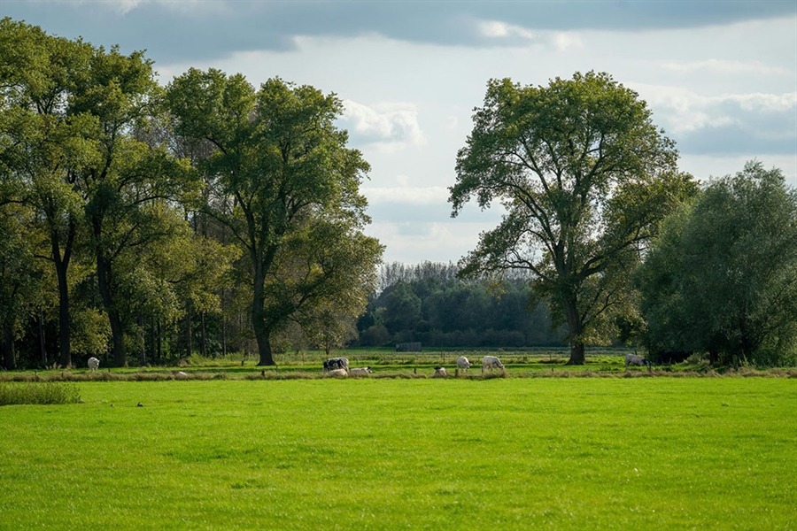 El cooperativismo l�cteo espa�ol coge la bandera de la sostenibilidad y...