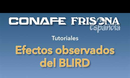 Efectos observados del BLIRD, un nuevo gen recesivo en la raza Holstein...