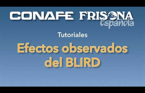 Efectos observados del BLIRD, un nuevo gen recesivo en la raza Holstein...