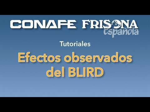 Efectos observados del BLIRD, un nuevo gen recesivo en la raza Holstein...