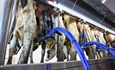 DeLaval lanza Evanza Retrofit