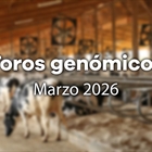Nuevos toros gen�micos con Prueba Oficial: Evaluaci�n gen�mica marzo 2026
