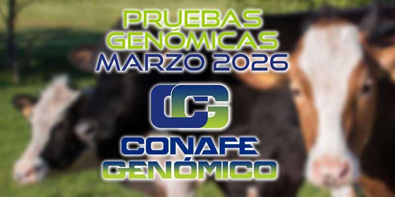 Actualizaci�n de las pruebas gen�micas de Hembras CONAFE marzo 2026