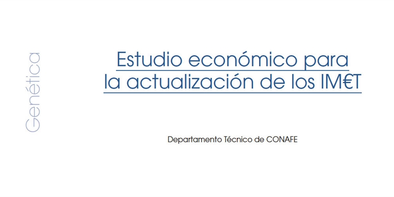 Estudio econ�mico para la actualizaci�n de los IM�T