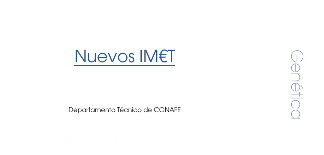 Nuevos IM�T