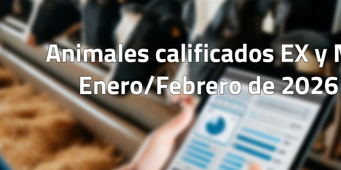 Animales calificados EX y MB en enero y febrero de 2026