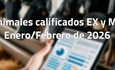 Animales calificados EX y MB en enero y febrero de 2026