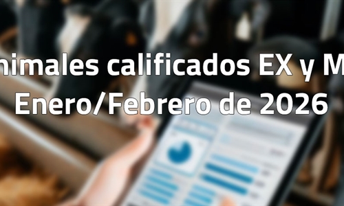 Animales calificados EX y MB en enero y febrero de 2026