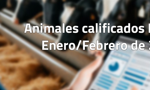 Animales calificados EX y MB en enero y febrero de 2026