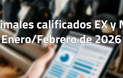 Animales calificados EX y MB en enero y febrero de 2026