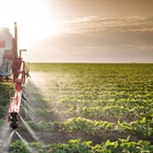 El 89% de los agricultores y ganaderos confirma su intenci�n de renovar su p�liza de seguro agrario en la pr�xima campa�a