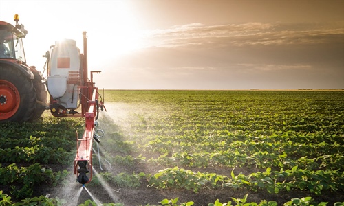 El 89% de los agricultores y ganaderos confirma su intenci�n de renovar...