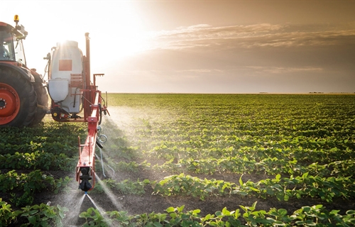El 89% de los agricultores y ganaderos confirma su intenci�n de renovar...