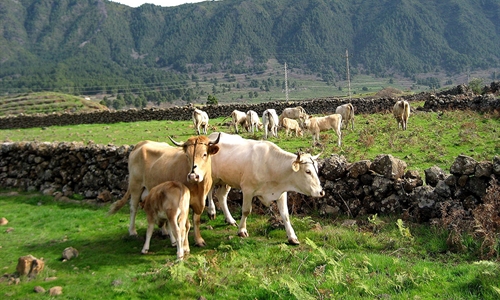 Espa�a plantear� a la Comisi�n Europea ampliar la vacunaci�n de...