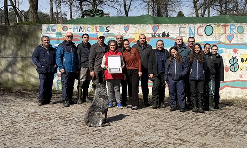 Unificaci�n de criterios entre calificadores de CONAFE de marzo 2026