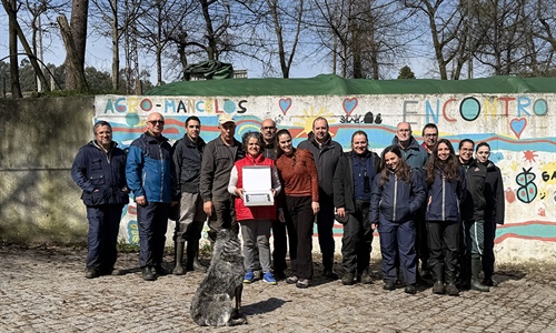 Unificaci�n de criterios entre calificadores de CONAFE de marzo 2026