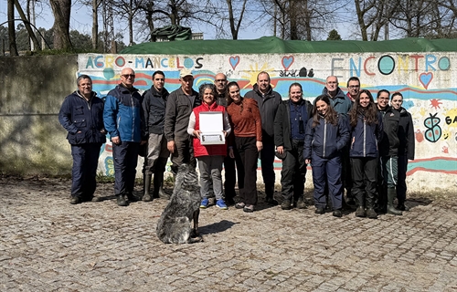 Unificaci�n de criterios entre calificadores de CONAFE de marzo 2026