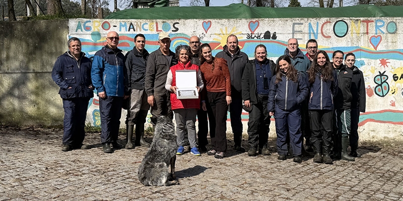 Unificaci�n de criterios entre calificadores de CONAFE de marzo 2026