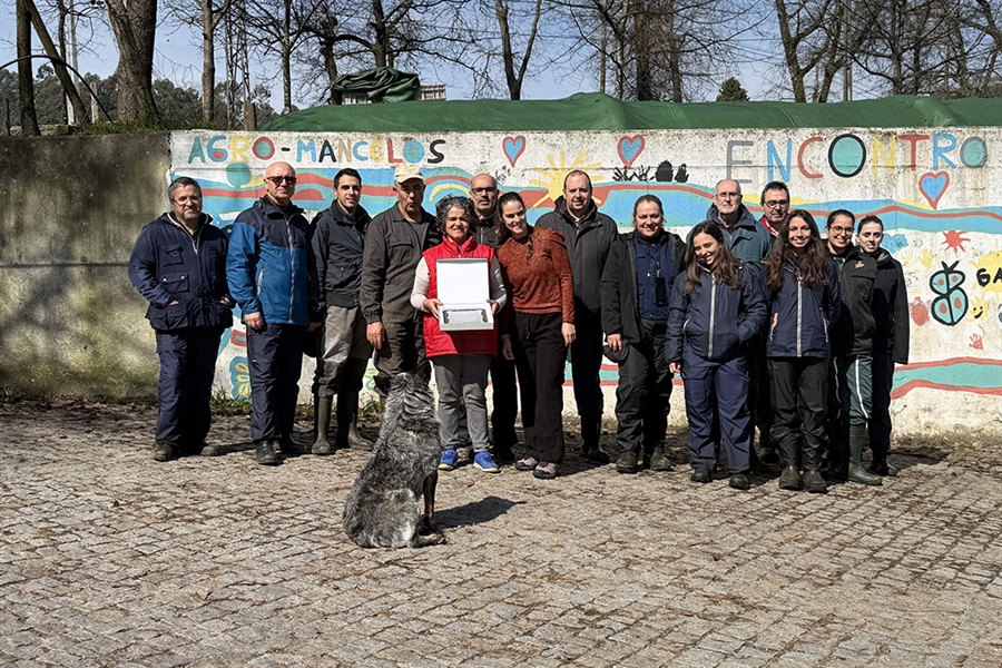 Unificaci�n de criterios entre calificadores de CONAFE de marzo 2026