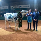 Binillubet Doberman Princesa (Binillobet), Vaca Gran Campeona de Menorca 2026