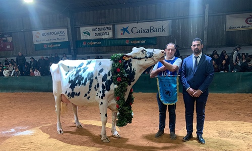 Binillubet Doberman Princesa (Binillobet), Vaca Gran Campeona de...