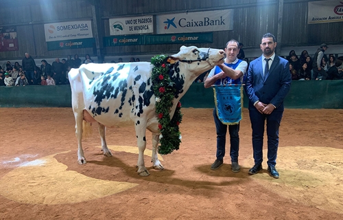Binillubet Doberman Princesa (Binillobet), Vaca Gran Campeona de...