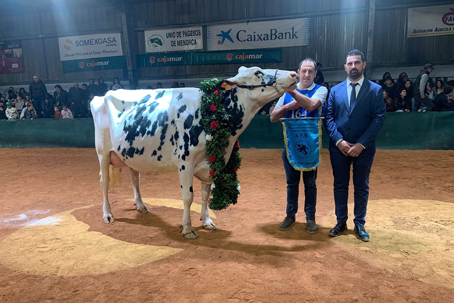 Binillubet Doberman Princesa (Binillobet), Vaca Gran Campeona de...