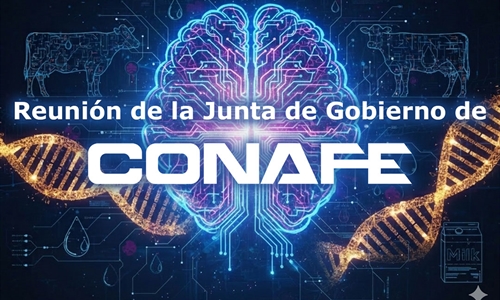 Reuni�n de la Junta de Gobierno de CONAFE 2026