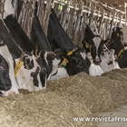 COAG asegura que la industria l�ctea lanza "nuevas amenazas" de bajar el precio en origen de la leche