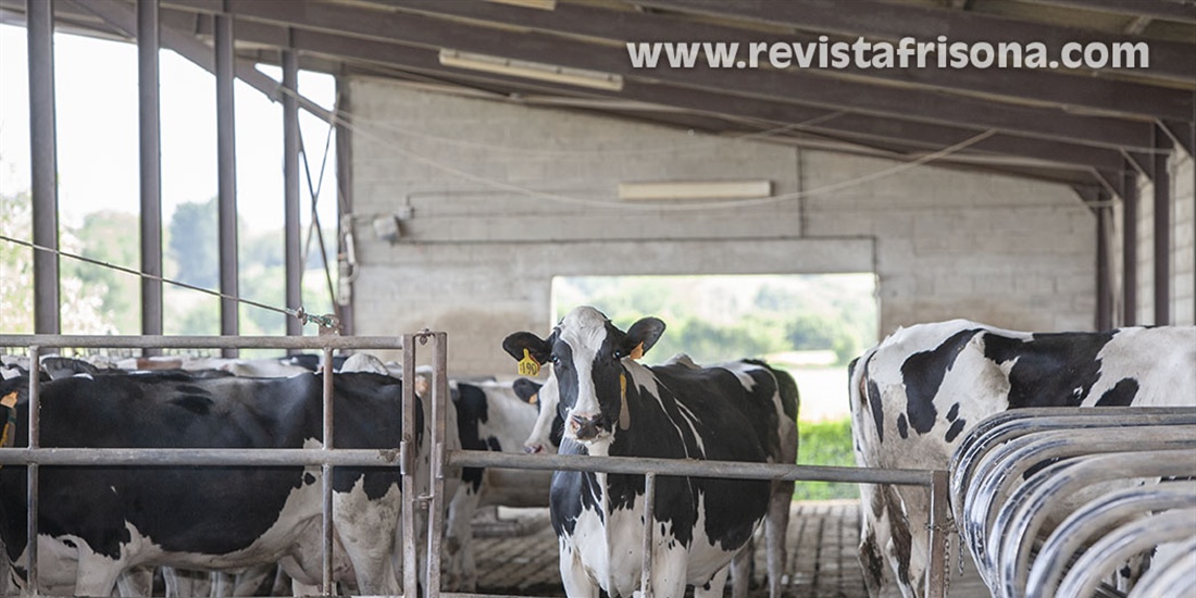 UGAM-COAG alerta de que la industria l�ctea busca recortar sin...