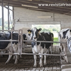 UGAM-COAG alerta de que la industria l�ctea busca recortar sin justificaci�n el precio de leche