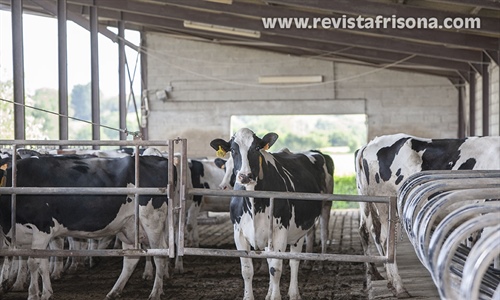 UGAM-COAG alerta de que la industria l�ctea busca recortar sin...