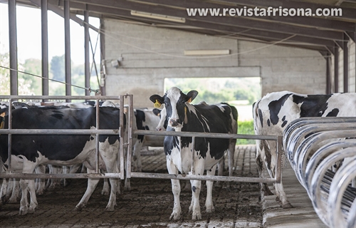 UGAM-COAG alerta de que la industria l�ctea busca recortar sin...