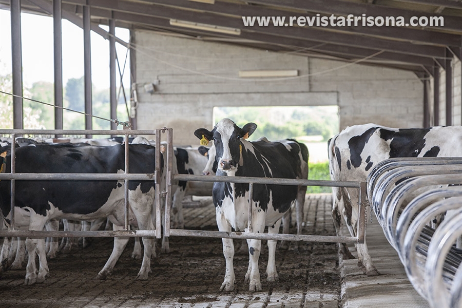 UGAM-COAG alerta de que la industria l�ctea busca recortar sin...