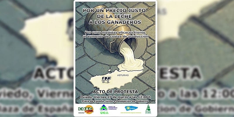 Los ganaderos protestar�n el viernes en Oviedo contra la subida del precio de la leche